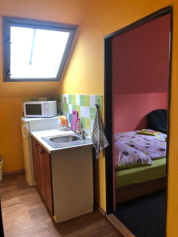 Kuchyň nebo kuchyňský kout v ubytování Hotel Na Trojce