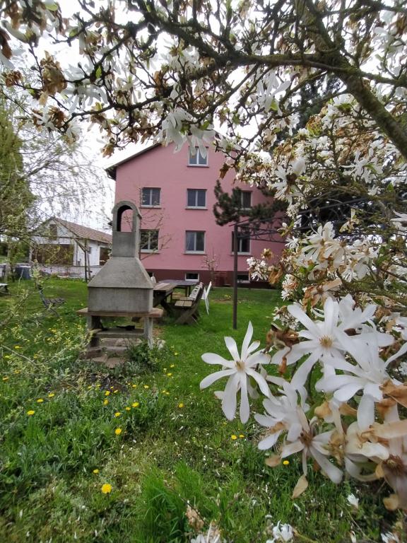 a pink house with flowers in front of it at Ferienhaus Günter in Forchtenberg