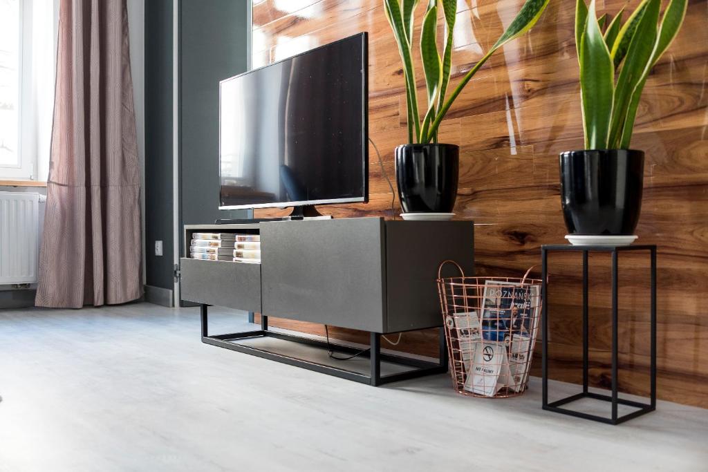 Televízia a/alebo spoločenská miestnosť v ubytovaní Apartament Centrum Superior