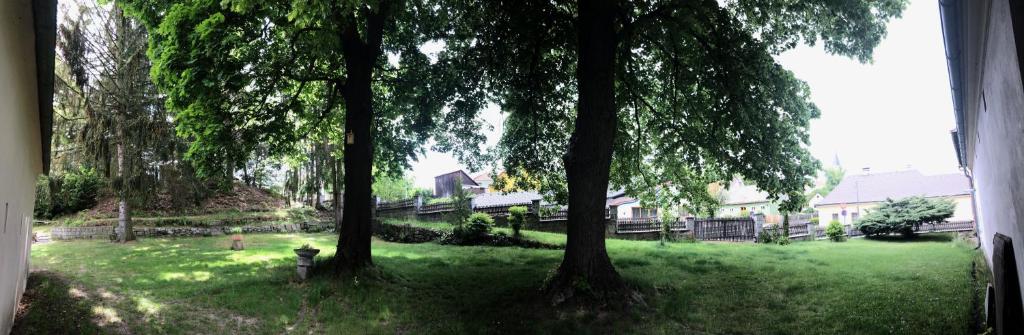 Zahrada ubytování Ferienwohnung „Gmünder Hof“