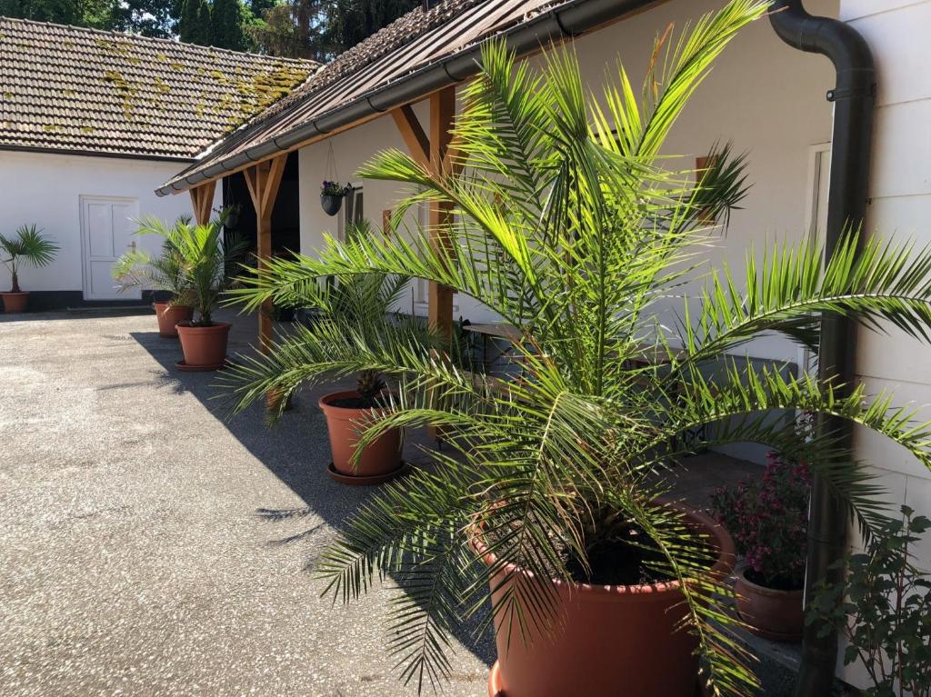 Zahrada ubytování Ferienwohnung „Gmünder Hof“