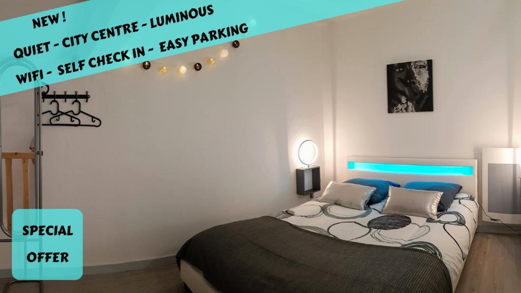 Les Nuits d'Anis - Appartements Hypercentre - Appartement