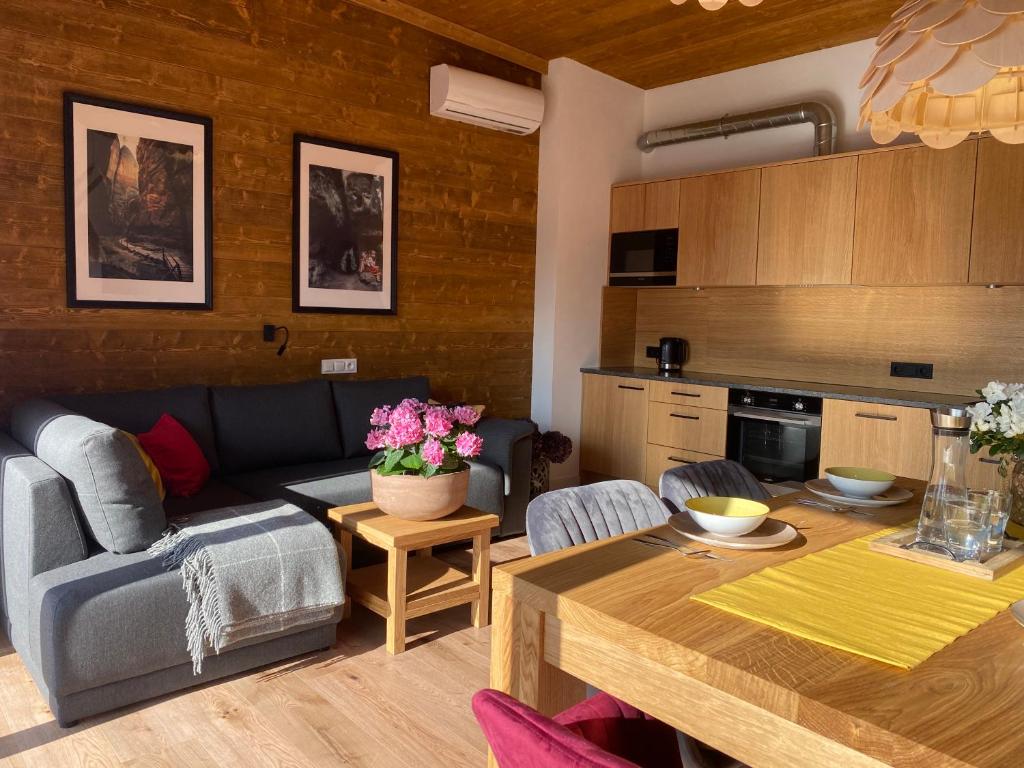 Kuchnia lub aneks kuchenny w obiekcie Apartamenty u Harrego BOUTIQUE SPA z klimatyzacja, balkon, sauna, tężnia parking