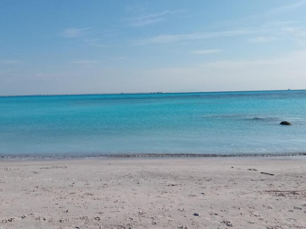 a beach with the ocean in the background at Caletta Beach in Castiglioncello