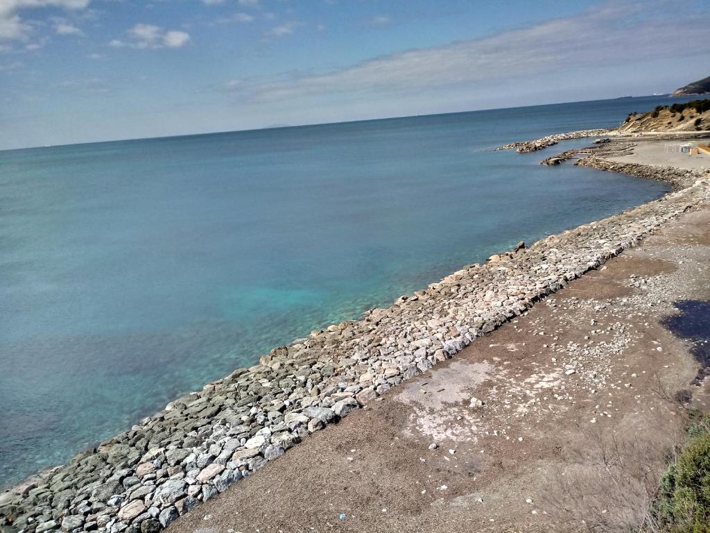 a group of rocks on the shore of the ocean at Caletta Beach in Castiglioncello