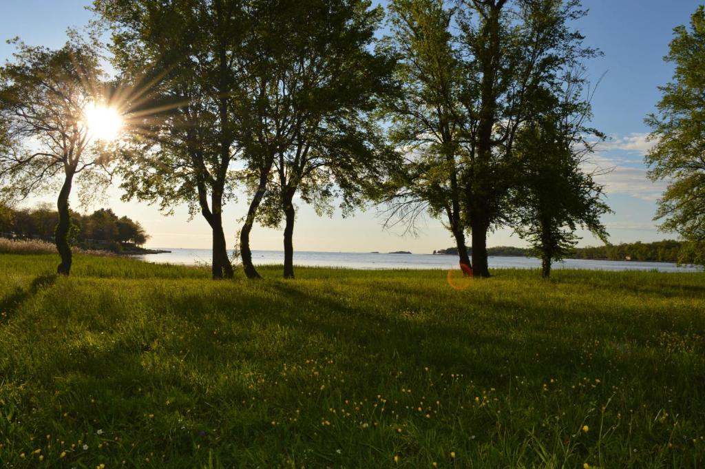Příroda nedaleko apartmánu