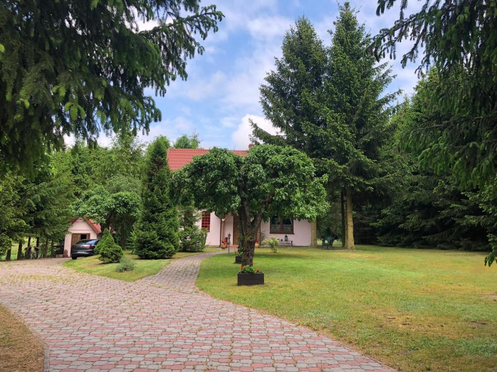 a house with a tree in the middle of a driveway at Sielanka Kretowiny in Kretowiny