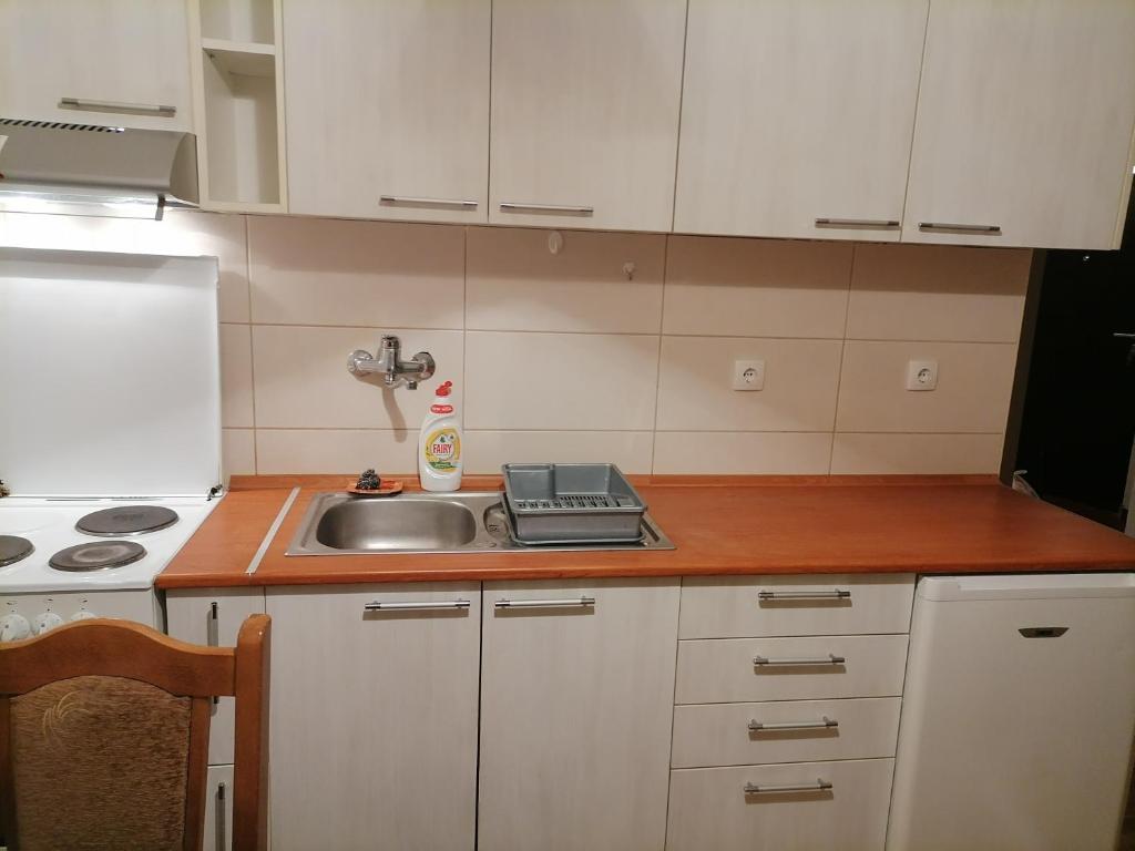 cocina con fregadero y encimera en Jaca 2, en Požarevac