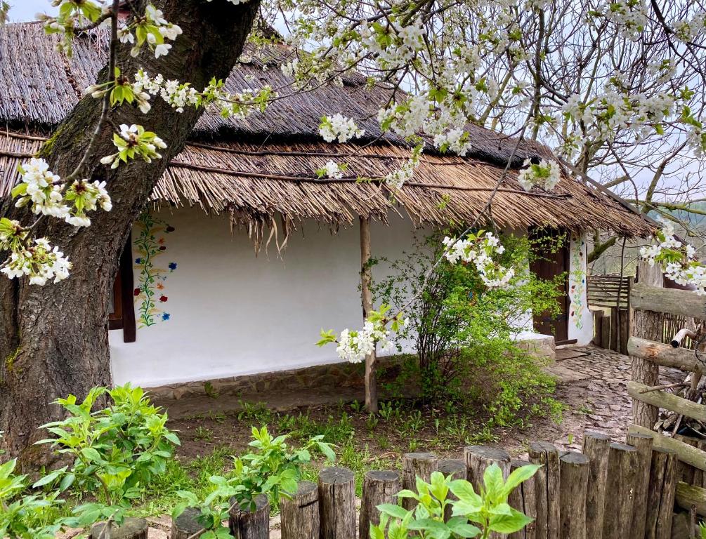 une petite maison avec un toit de chaume et un arbre dans l'établissement Екосадиба Лісова Казка, à Dmitrenki