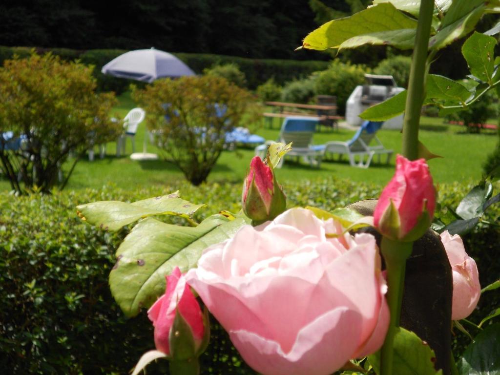 Zahrada ubytování Aparthotel Alpenpark