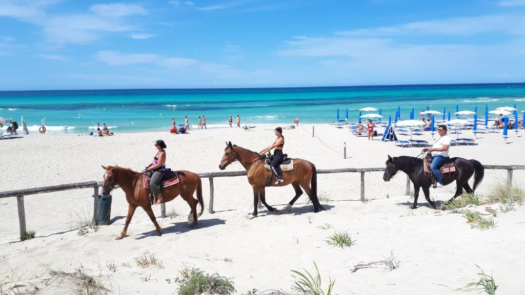 a group of people riding horses on the beach at Le villette Blu di Torre Pali di Salentoinvacanza COM in Torre Pali 