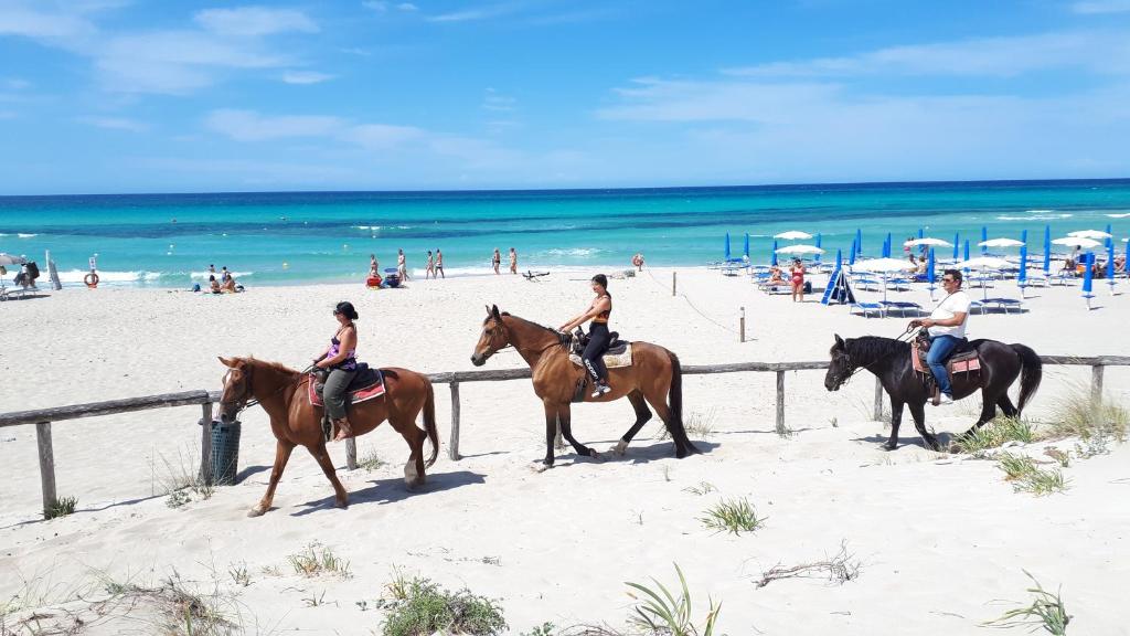 - un groupe de personnes à cheval sur la plage dans l'établissement Le villette Blu di Torre Pali di Salentoinvacanza COM, à Torre Pali