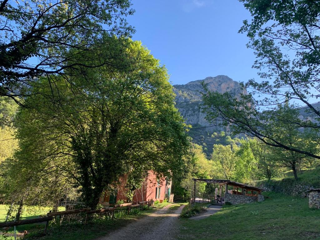 a dirt road with trees and mountains in the background at Mymoustiers in Moustiers-Sainte-Marie
