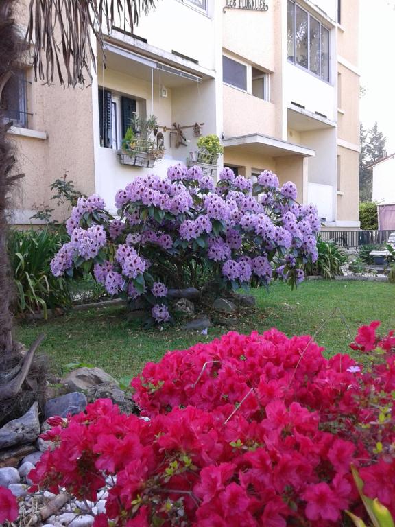 un mazzo di fiori rosa e viola di fronte a un edificio di Les Floralies bis a Pau