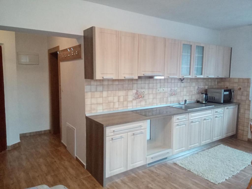 Kuchyň nebo kuchyňský kout v ubytování Apartmány Tonka 309