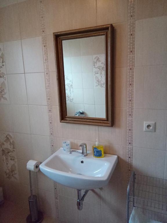 Koupelna v ubytování Apartmány Tonka 309