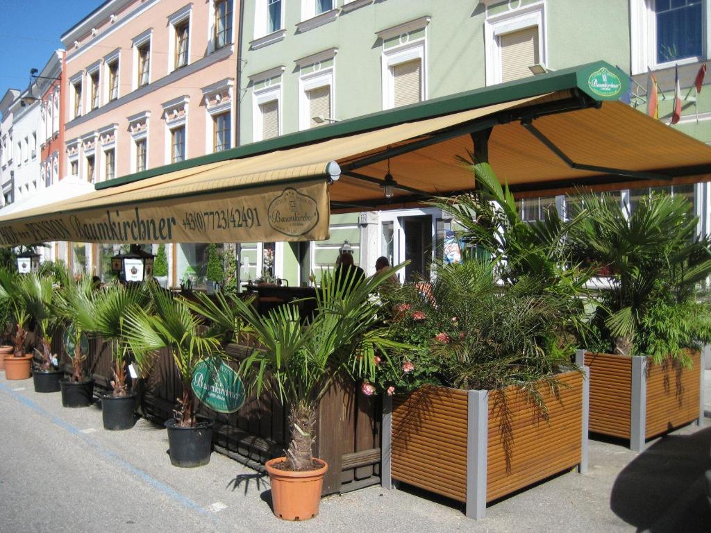 ein Restaurant mit Topfpflanzen vor einem Gebäude in der Unterkunft Gasthof Pension Baumkirchner in Altheim