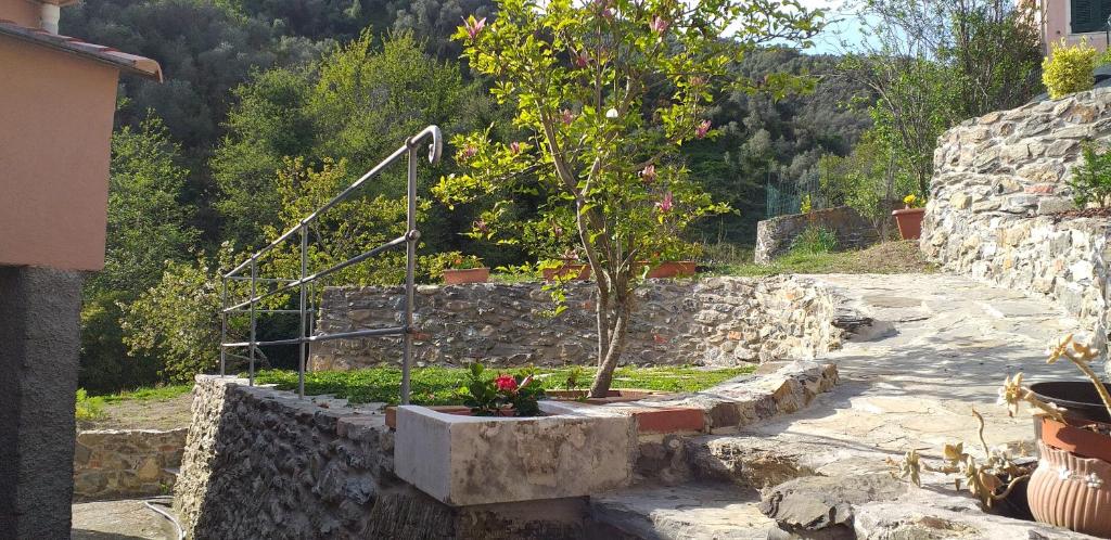 Giardino di La camera del mulino