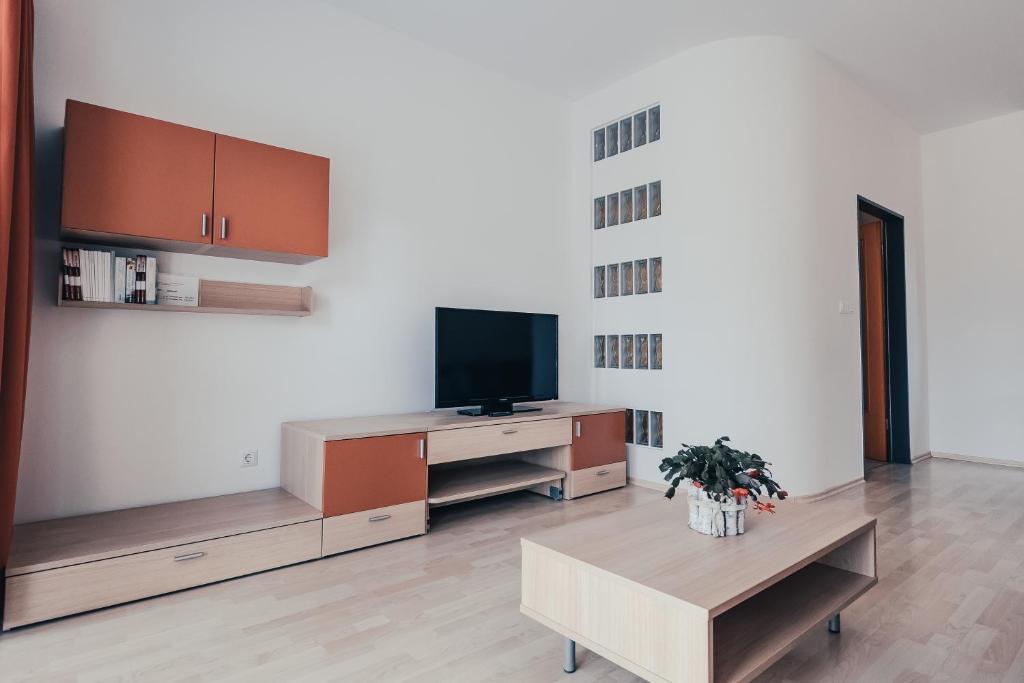 TV a/nebo společenská místnost v ubytování Vila Anna