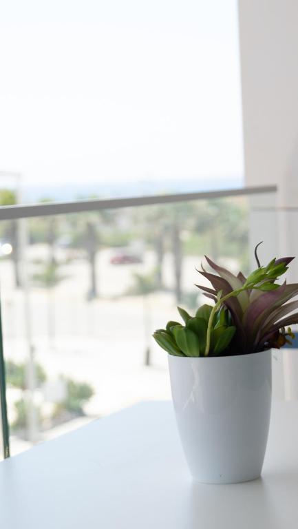 Hotel Playa de la Plata - 16