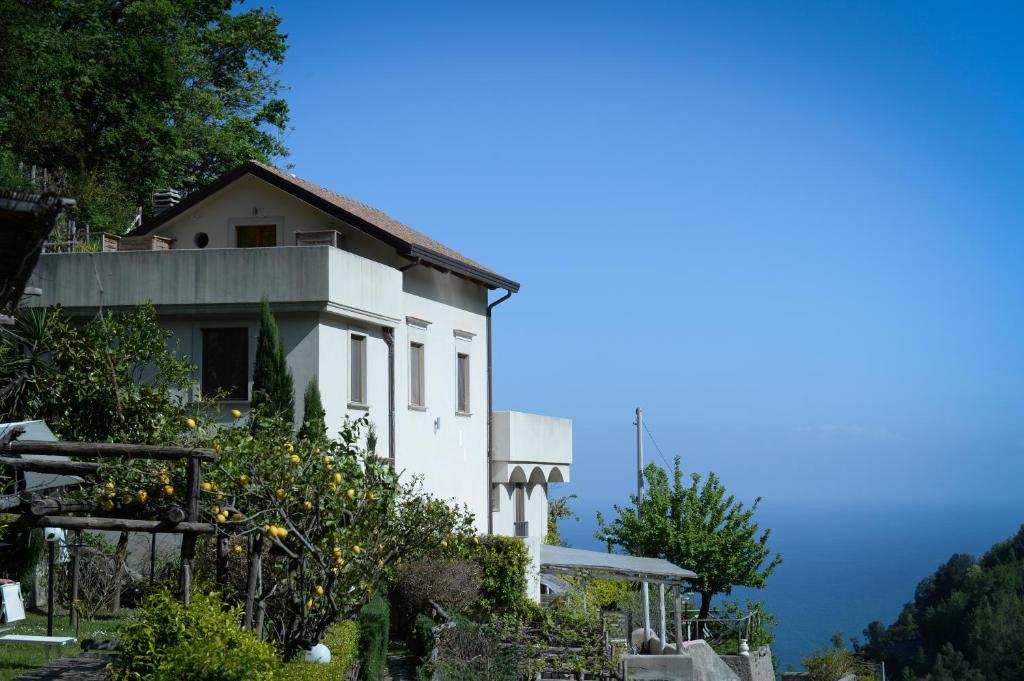 Biały dom z drzewami przed nim w obiekcie Case Sparse 7 w mieście Vietri sul Mare