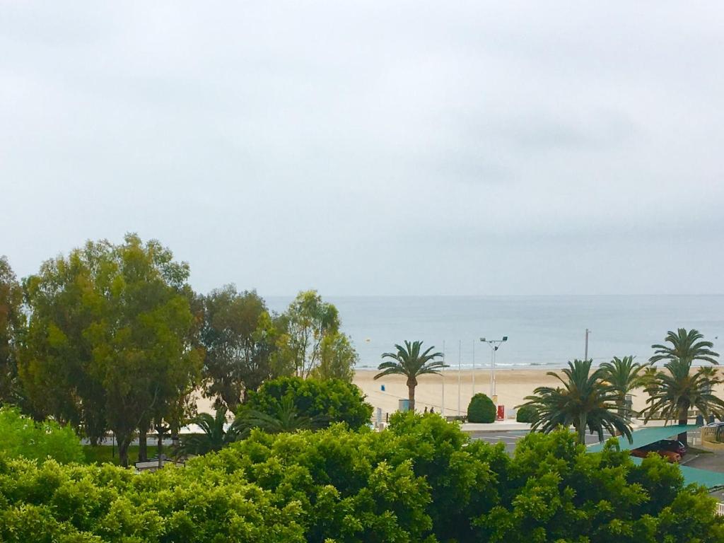 Blick auf einen Strand mit Palmen und das Meer in der Unterkunft Apartamentos Palmavera in Oropesa del Mar