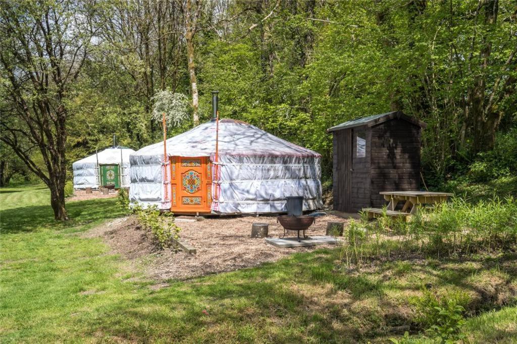 Pembrokeshire Yurts - Red Kite