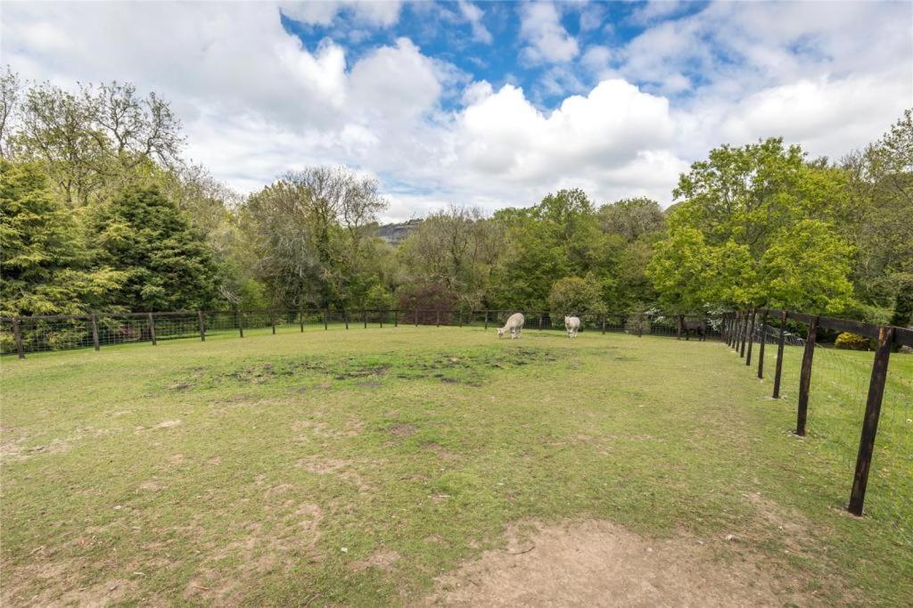 Pembrokeshire Yurts - Red Kite