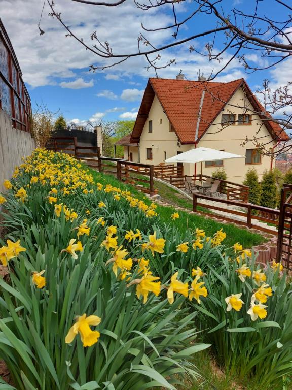 a field of yellow flowers in front of a house at Apartament Matei in Braşov