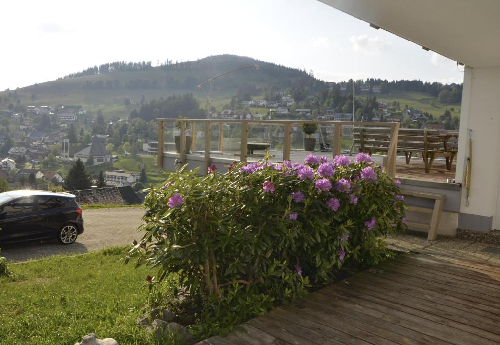 Nespecifikovaný výhled na hory nebo výhled na hory při pohledu z apartmánu