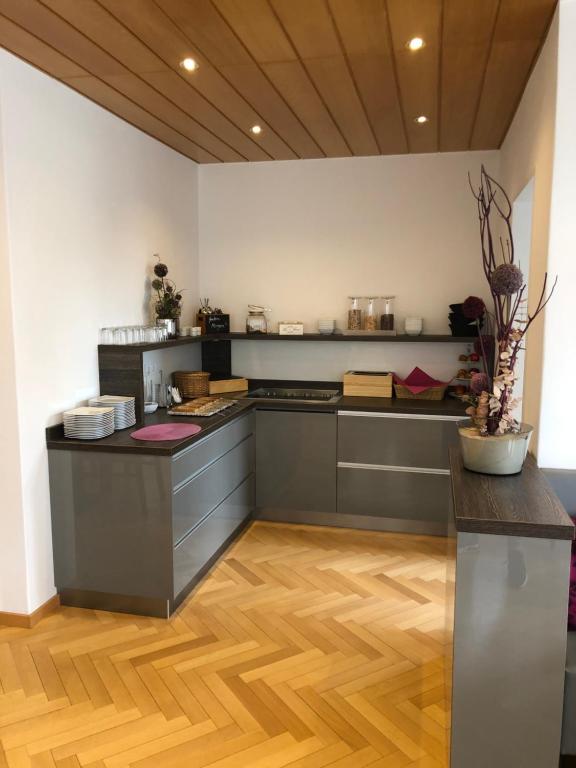 Kuchyň nebo kuchyňský kout v ubytování Pension Arcade