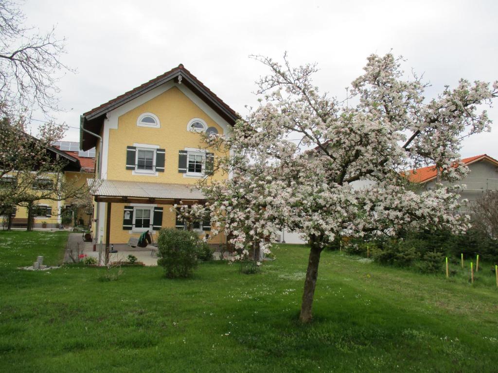 a tree in front of a yellow house at Ferienhaus Mühlfeldner in Laufen