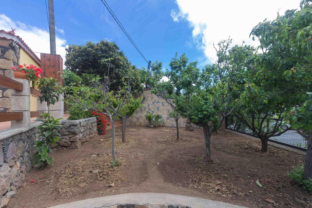 Vonkajšia záhrada v ubytovaní Casa Rural Ayacata