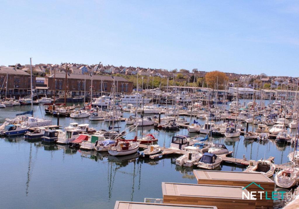 a bunch of boats are docked in a marina at 7 Orion House, Milford Haven in Milford Haven