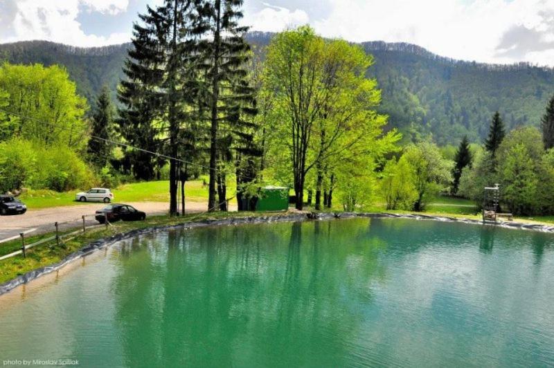 Paesaggio naturale nelle vicinanze dell'affittacamere