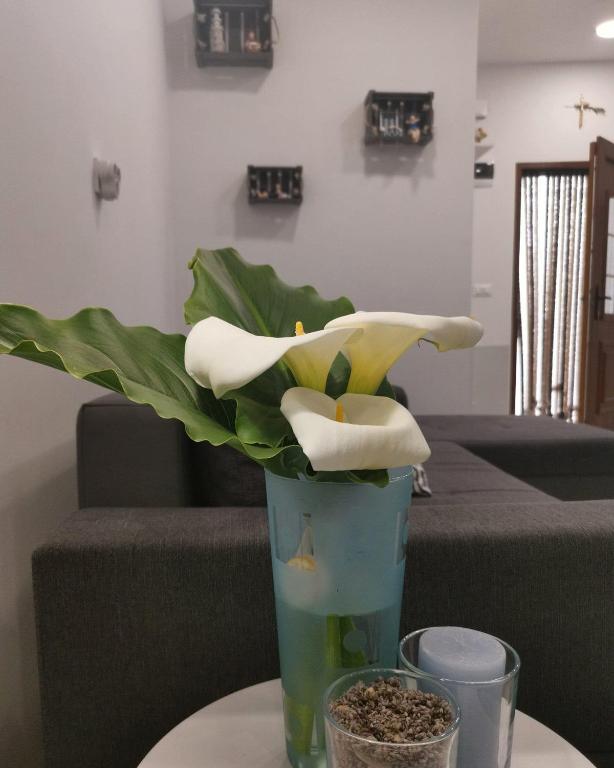 Posezení v ubytování Apartman Stella Maris