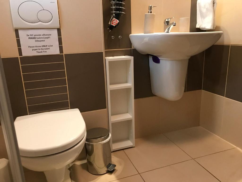 Koupelna v ubytování Příjemný apartmán Křoví v rodinném domku se sdíleným bazénem, terasou a zahradou