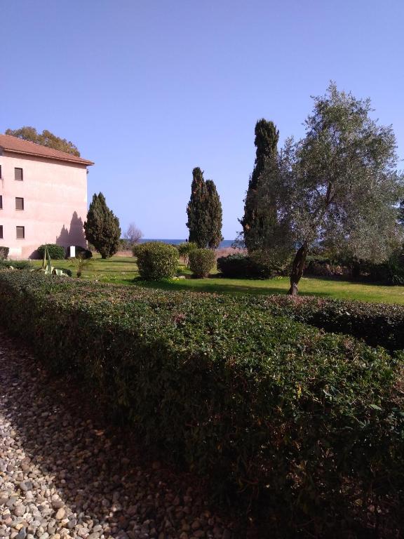 une haie en face d'un bâtiment avec l'océan en arrière-plan dans l'établissement Appt plage et soleil, à San-Nicolao