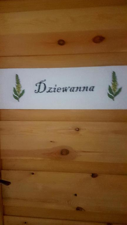 Dziewanna - 