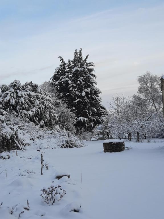 ein schneebedecktes Feld mit Bäumen im Hintergrund in der Unterkunft La Grange aux dames in Geville