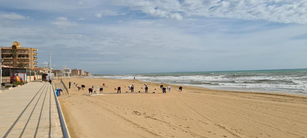 Fotografie z fotogalerie ubytování Sofia La Mata 2 v destinaci La Mata