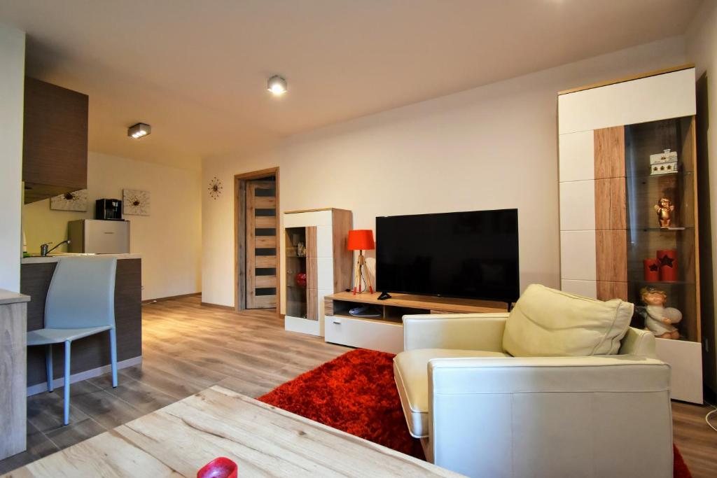TV a/nebo společenská místnost v ubytování Apartment Dalibor II with private entrance and private garage