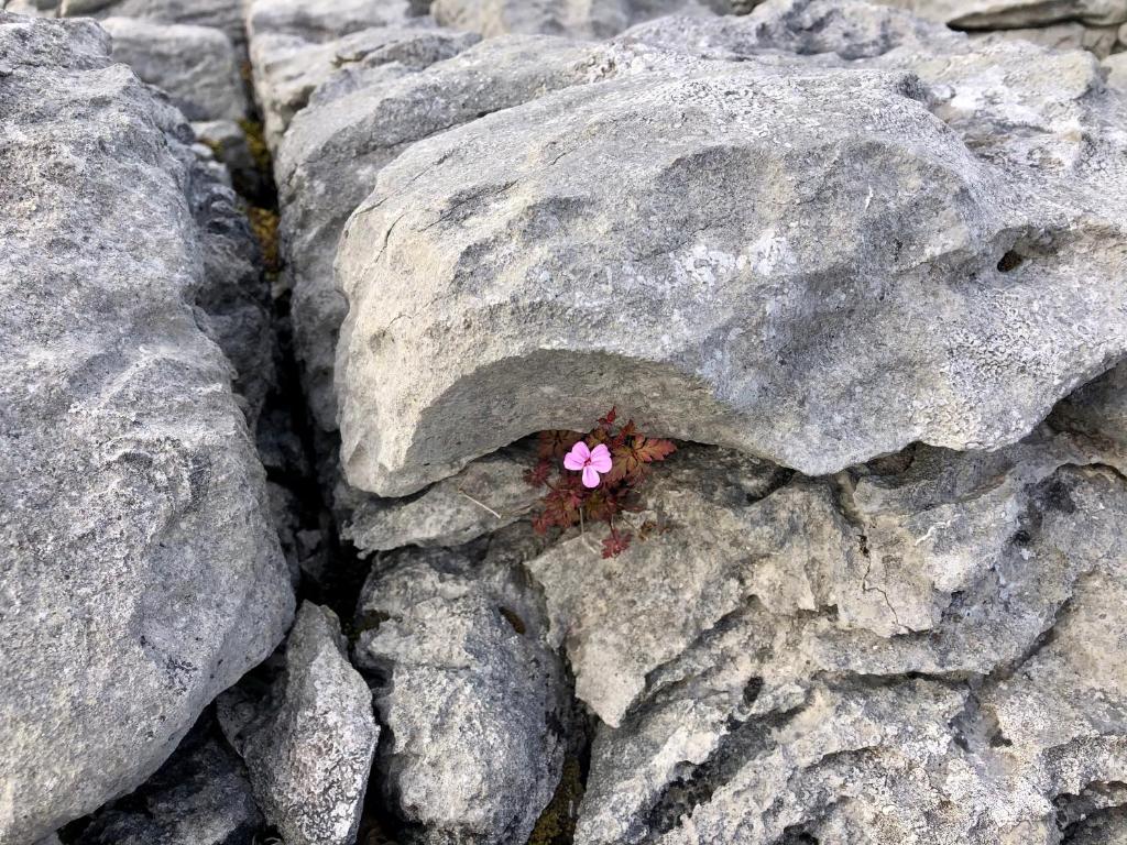 Fotografie z fotogalerie ubytování Ocean View Guestrooms v destinaci Doolin
