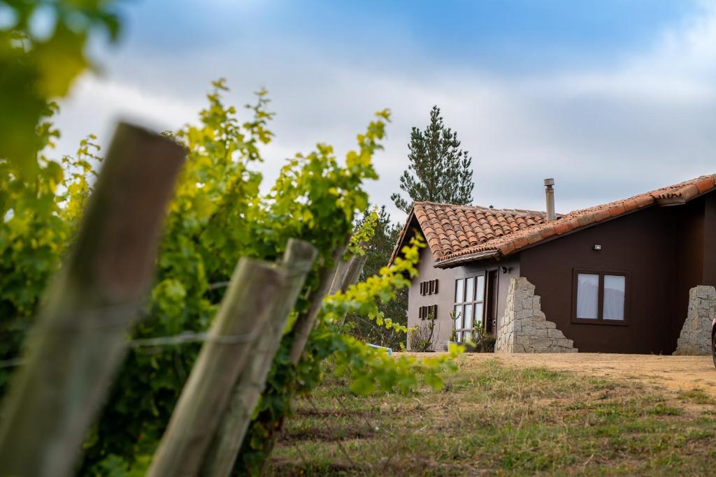 a house in a vineyard with a fence at Bungalow Miramar & Jeronimo at Casa Marin Vineyards in Cartagena