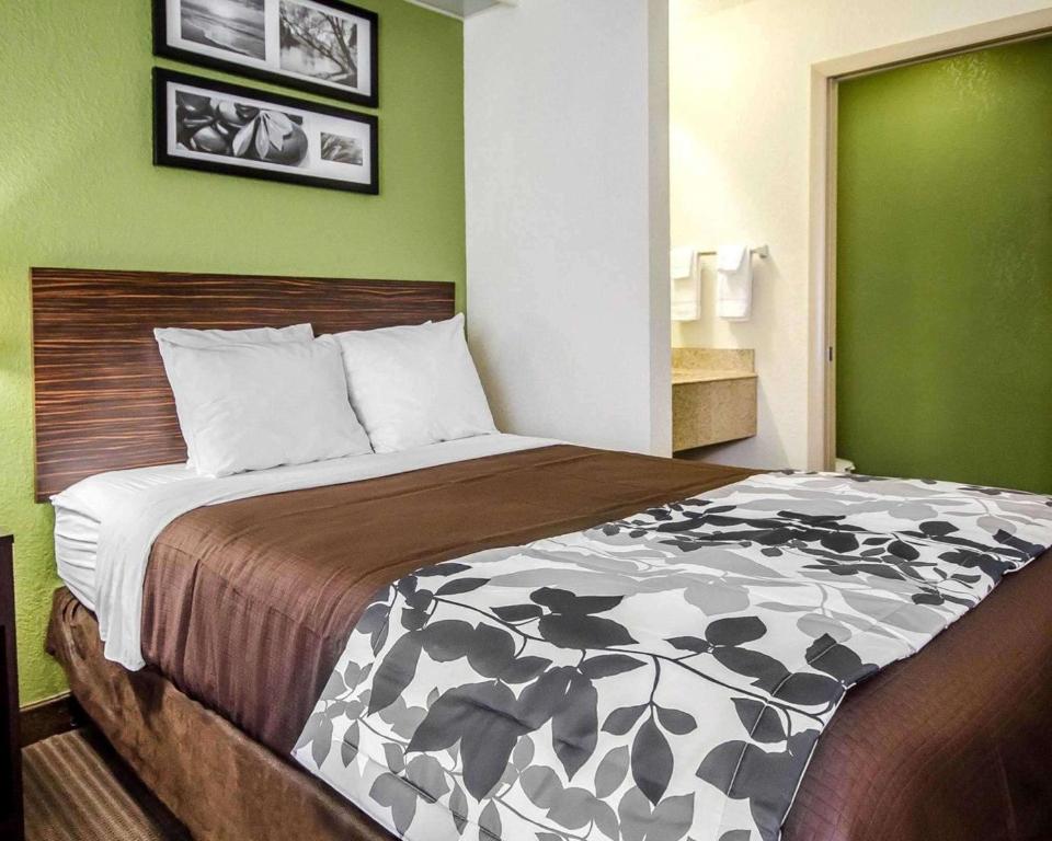 1 dormitorio con 1 cama grande y pared verde en Sleep Inn Louisville Airport & Expo, en Louisville