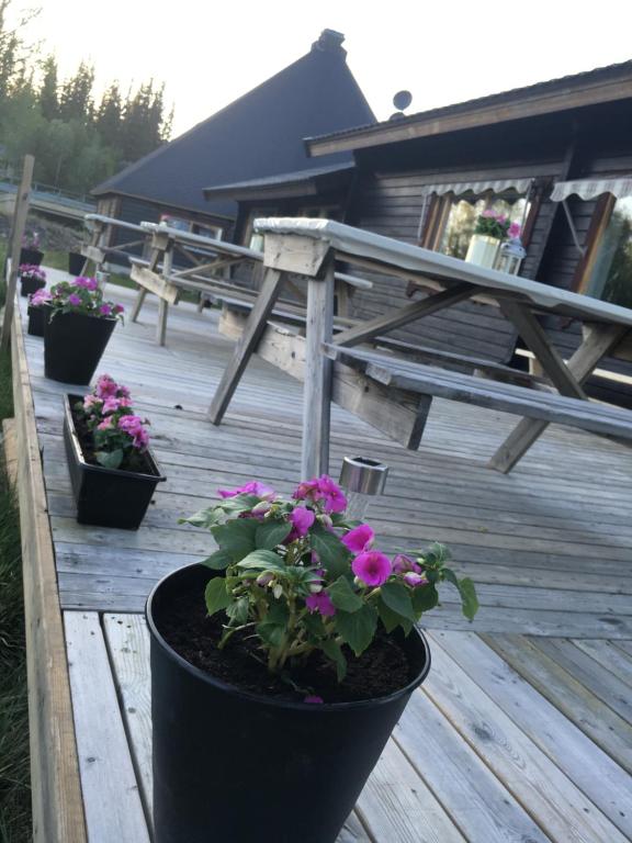 una terraza con macetas de flores y una mesa de picnic en Camp Borga, en Borgafjäll