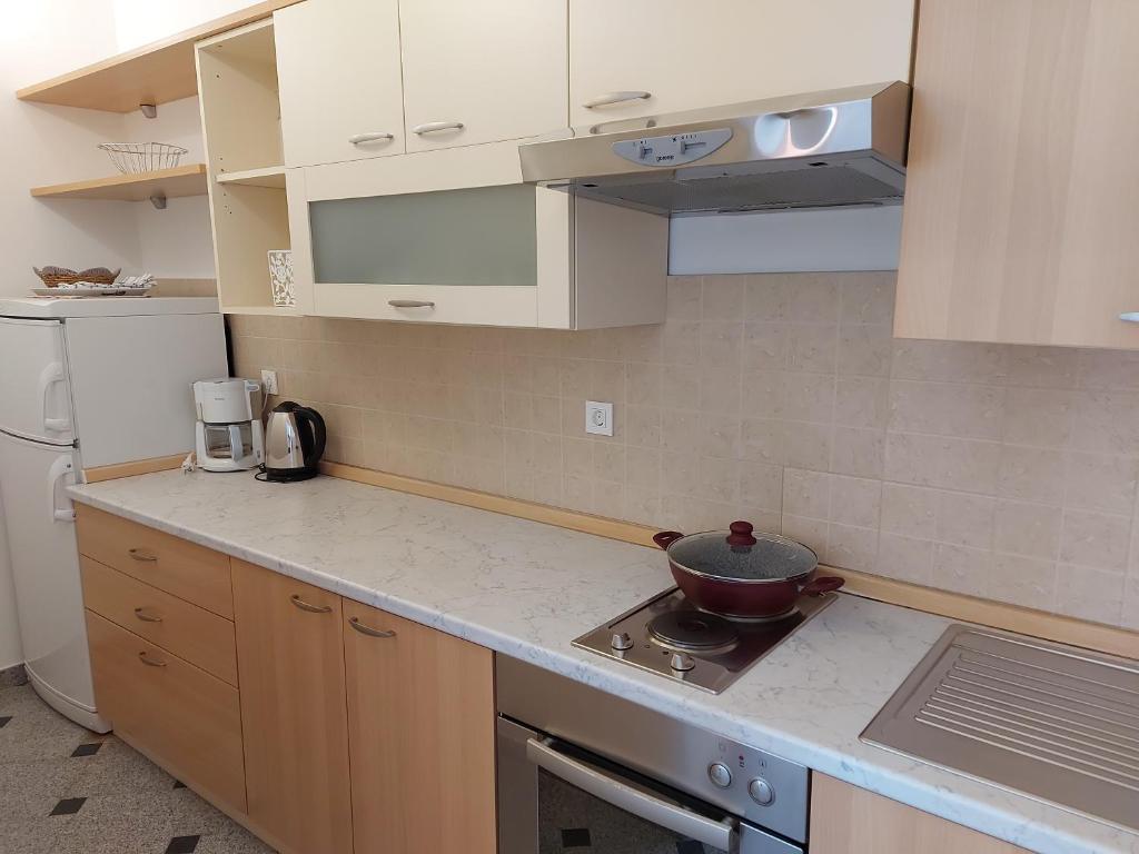 Kuchyňa alebo kuchynka v ubytovaní Apartments Palić