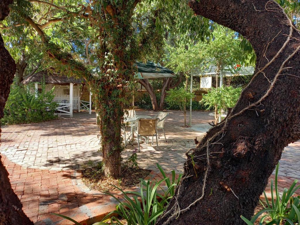 a patio with a table and chairs under a tree at Avondrust Guest House in Graaff-Reinet