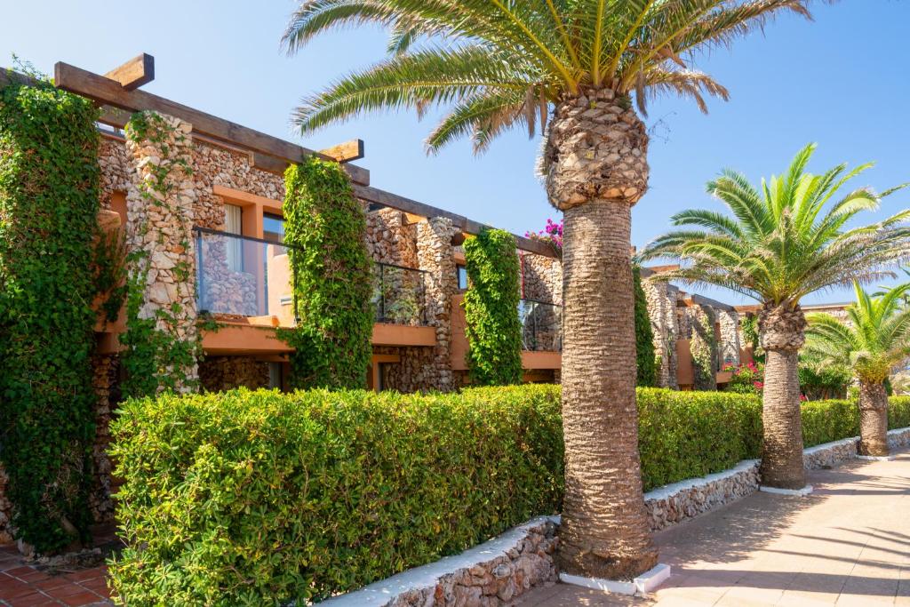 Vonkajšia záhrada v ubytovaní Hotel Menorca Binibeca - Adults Recommended - by Pierre & Vacances Premium