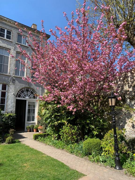 Hotel Patritius - Resim 13